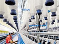 “合作社+订单生产”是提升棉花质量最有效的道路