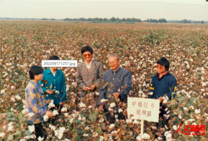 学习弘扬“中棉所精神”助力国家棉花事业再创佳绩